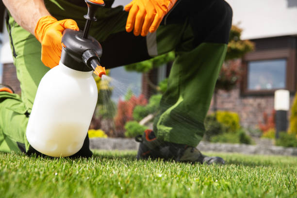 Best Ant Control Services  in Wilberforce, OH