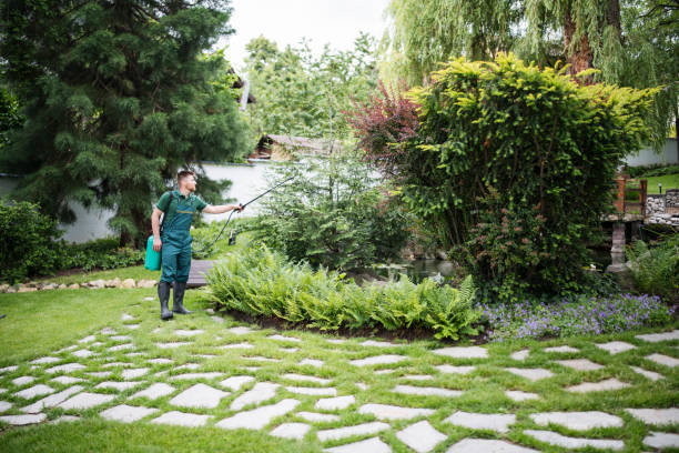 Best Exterminator Services  in Wilberforce, OH
