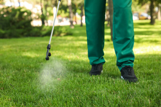 Best Pest Prevention Services  in Wilberforce, OH