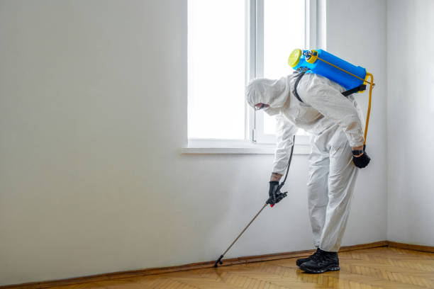 Best Pest Control for Homes  in Wilberforce, OH