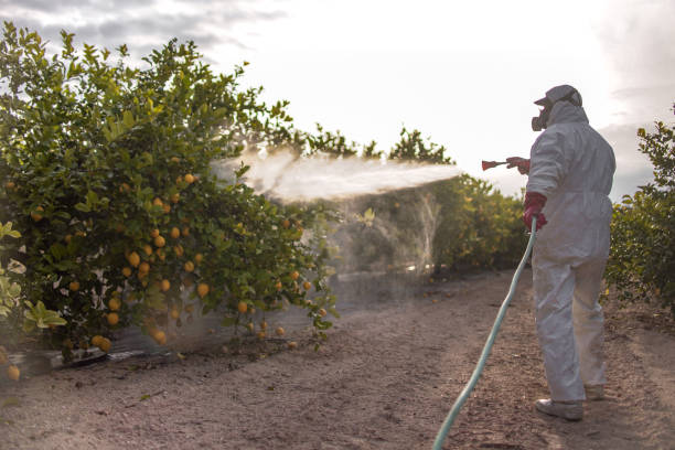 Pest Control Cost in Wilberforce, OH