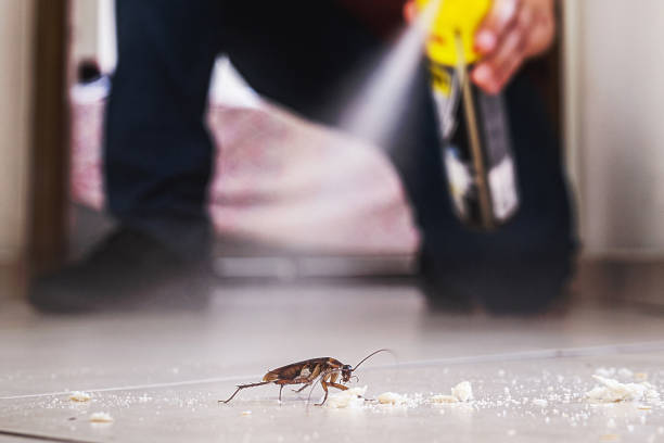 Best Cockroach Control Services  in Wilberforce, OH