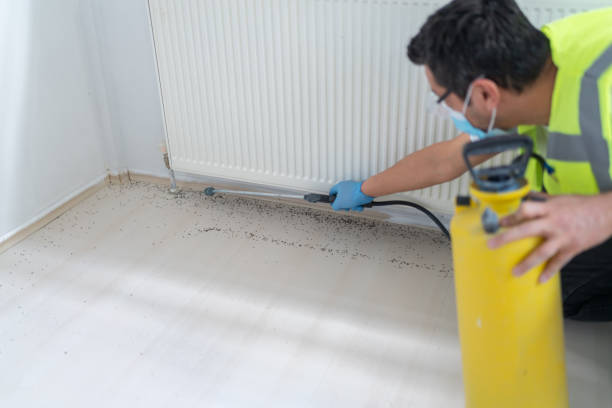 Best Best Pest Control Companies  in Wilberforce, OH